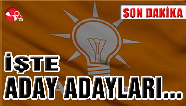 İşte AK Parti aday adayları...