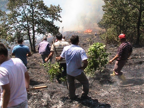 10 DÖNÜMLÜK ORMAN KÜL OLDU...