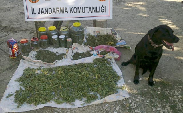 10 KİLO ESRAR YAKALANDI...