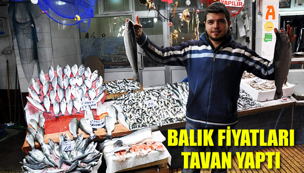 BALIK FİYATLARI YÜKSELDİ