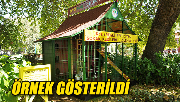 ÖRNEK GÖSTERİLDİ