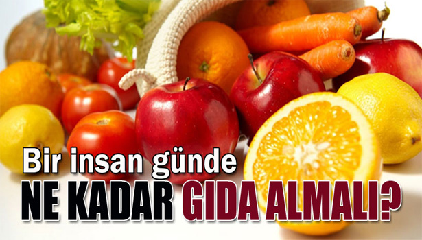 BİR İNSAN GÜNDE NE KADAR GIDA ALMALI?