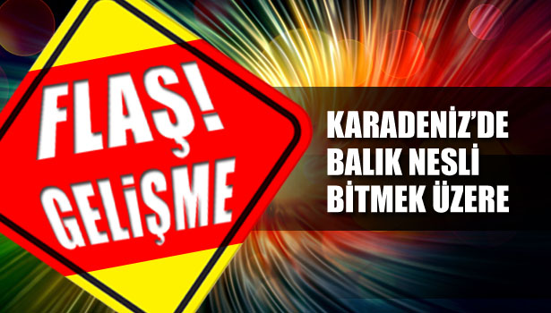 KARADENİZ'DE BALIK NESLİ BİTMEK ÜZERE