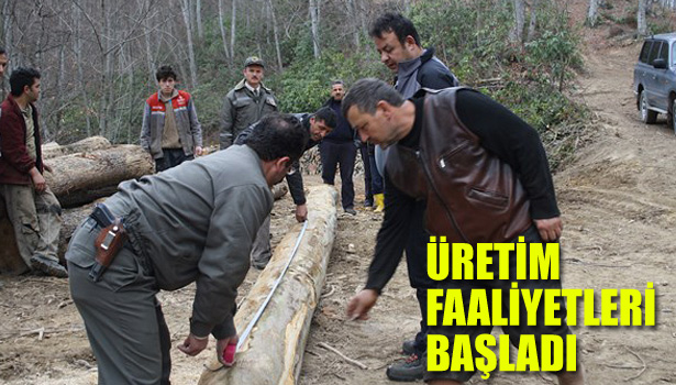 ÜRETİM FAALİYETLERİ BAŞLADI