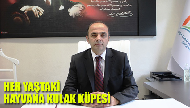 HER YAŞTAKİ HAYVANA KULAK KÜPESİ TAKILACAK