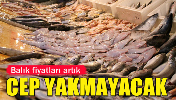 BALIK FİYATLARI CEP YAKMAYACAK