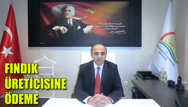 FINDIK ÜRETCİSİNE ÖDEME