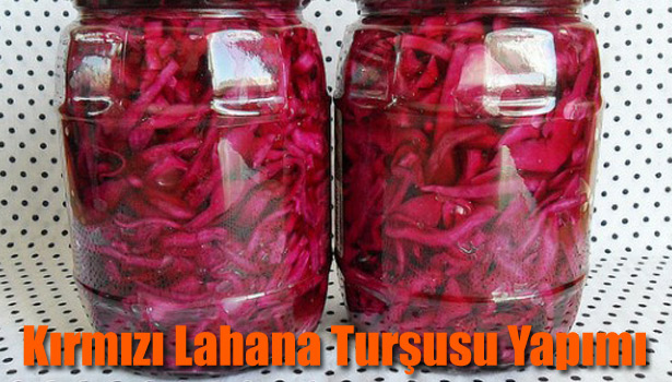KIRMIZI LAHANA TURŞUSU NASIL YAPILIR?