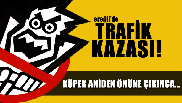 KÖPEĞE ÇARPMAMAK İÇİN...