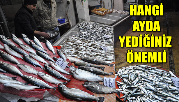 BALIK PSİKOLOJİK RAHATSIZLIKLARA ŞİFA OLUYOR