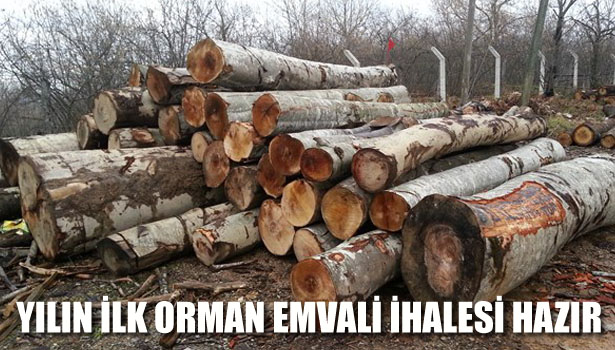 İLK ORMAN EMVALİ İHALESİ HAZIR