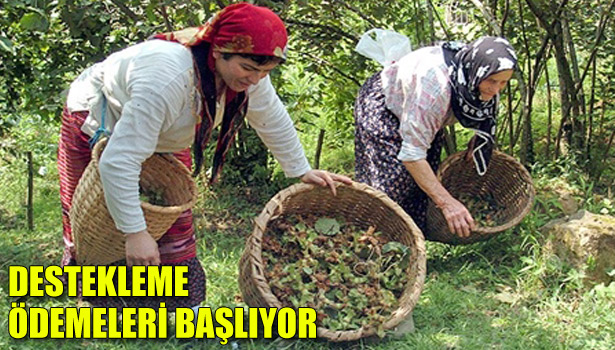DESTEKLEME ÖDEMELERİ BAŞLIYOR
