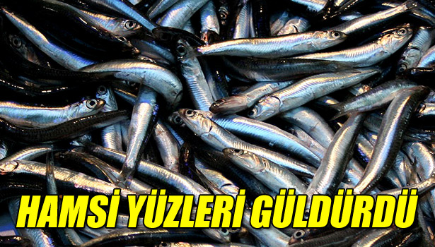 HAMSİ FİYATLARI YÜZLERİ GÜLDÜRDÜ