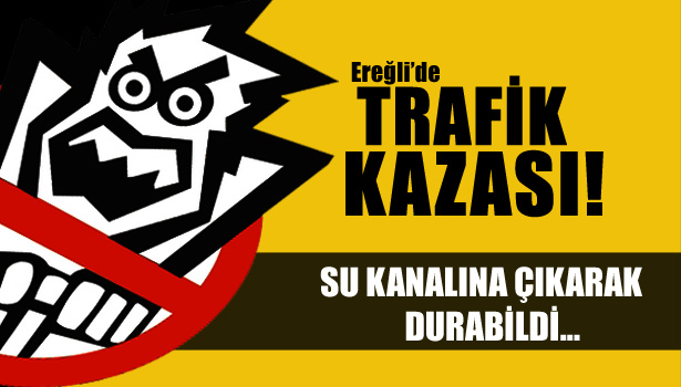 KALP KRİZİ GEÇİRDİ,SU KANALINDA DURABİLDİ