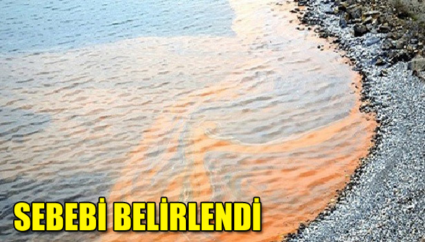 SEBEBİ BELİRLENDİ