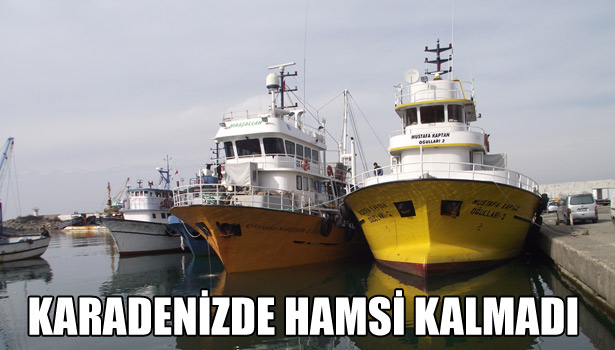 KARADENİZDE HAMSİ KALMADI