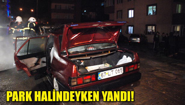 PARK HALİNDEKİ OTOMOBİL YANDI