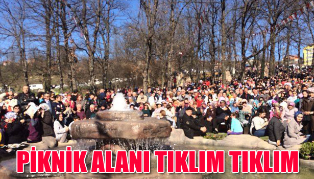 PİKNİK ALANI TIKLIM TIKLIM
