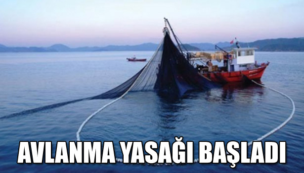 AVLANMA YASAĞI BAŞLADI