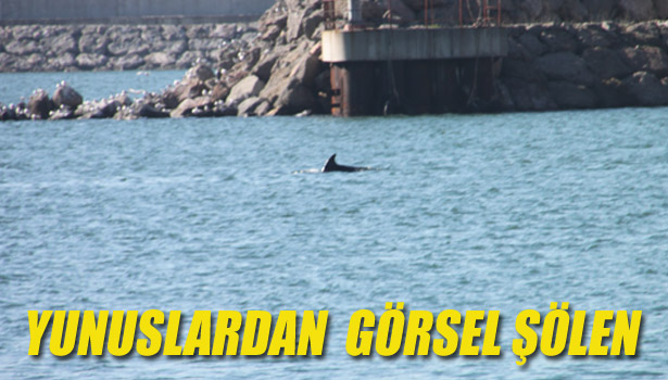 YUNUSLARDAN GÖRSEL ŞÖLEN