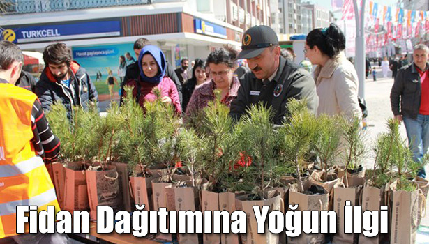 ORMAN HAFTASINDA FİDAN DAĞITIMINA YOĞUN İLGİ