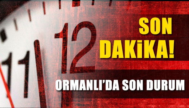 ORMANLI MHP'NİN