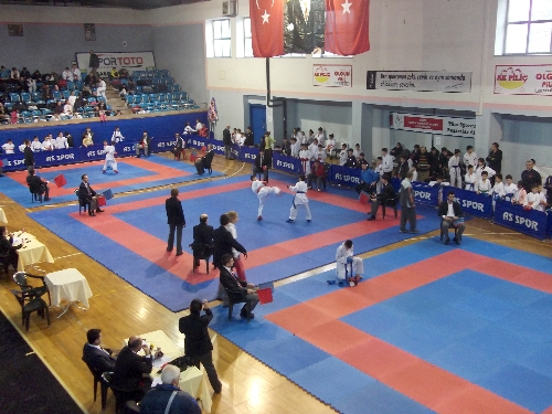 11 İLİN KARATE KULÜPLERİ DÜZCEDE BULUŞUYOR..