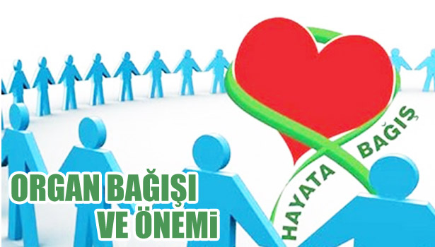 ORGAN BAĞIŞI VE ÖNEMİ