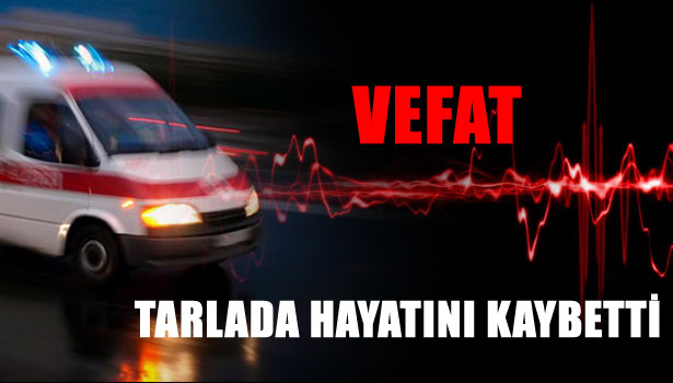 TARLADA HAYATINI KAYBETTİ