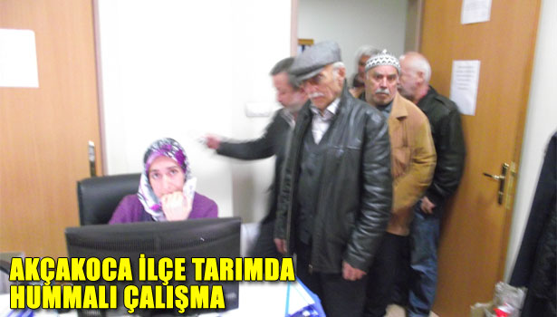 AKÇAKOCA İLÇE TARIMDA HUMMALI ÇALIŞMA