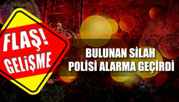 DERE İÇİNDEKİ SİLAH POLİSİ ALARMA GEÇİRDİ