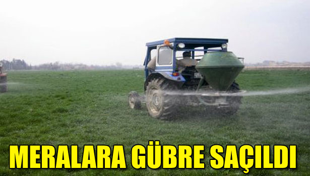 DÜZCE'DE MERALARA GÜBRE SAÇILDI