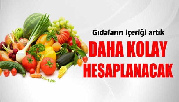 GIDALARIN İÇERİĞİNİ HESAPLAMAK ARTIK DAHA KOLAY