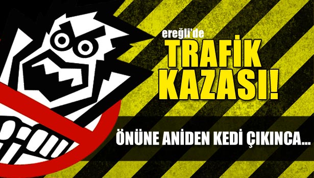 ÖNÜNE ANİDEN KEDİ ÇIKINCA...