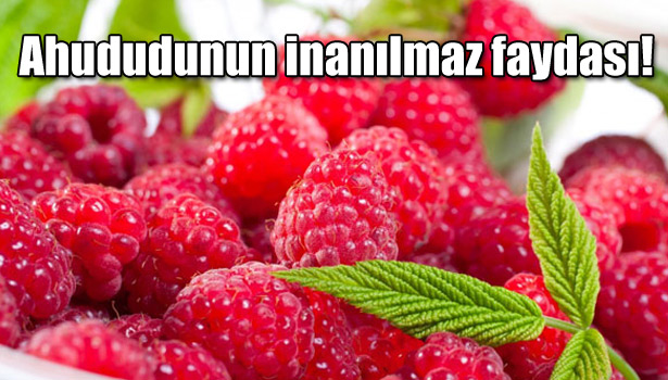 AHUDUDUNUN İNANILMAZ FAYDASI!