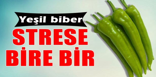YEŞİL BİBER STRESİ AZALTIYOR