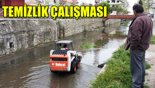 TEMİZLİK ÇALIŞMASI