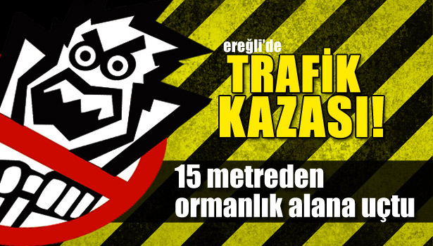 15 METREDEN ORMANLIK ALANA UÇTU