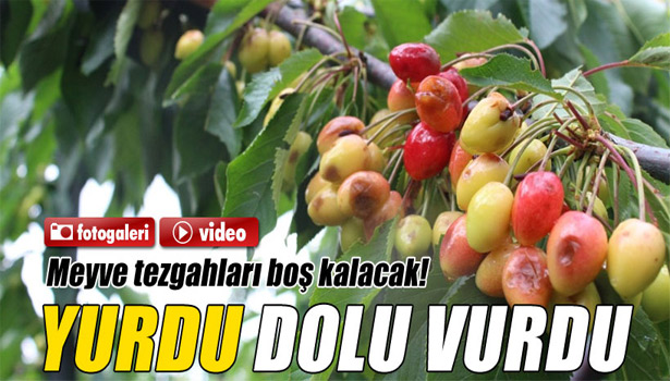 YURDU DOLU VURDU