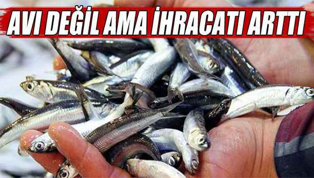 AVI DEĞİL AMA İHRACATI ARTTI