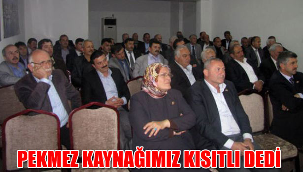 PEKMEZ KAYNAĞIMIZ KISITLI DEDİ