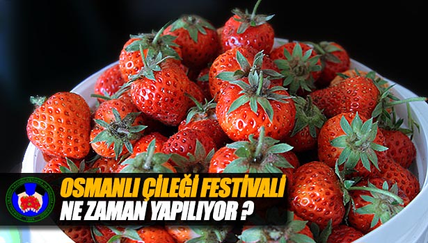 OSMANLI ÇİLEĞİ FESTİVALİ NE ZAMAN YAPILIYOR?