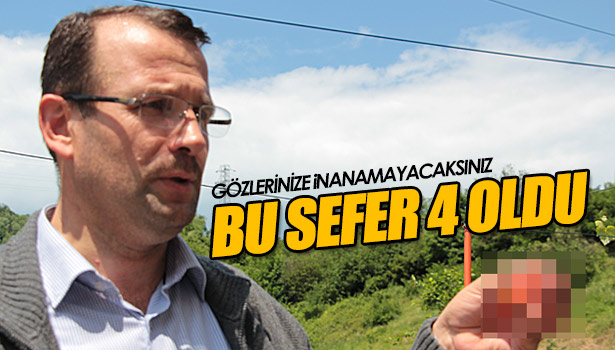 GEÇEN SENE 5 PARMAKLI, BU SENE 4 PARMAKLI ÇİLEK YETİŞTİ