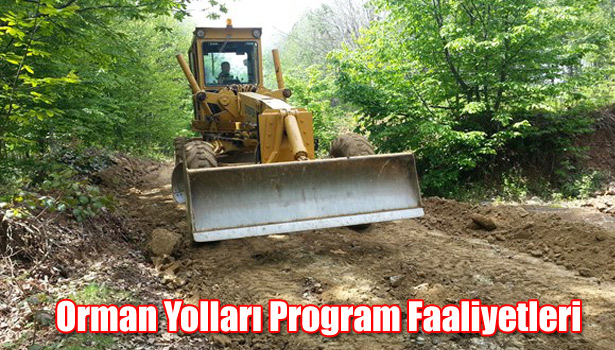 ORMAN YOLLARI PROGRAM FAALİYETLERİ