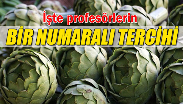 İŞTE PROFESÖRLERİN BİR NUMARALI TERCİHİ