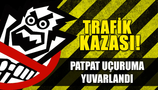 ALAPLI'DA PATPAT UÇURUMA YUVARLANDI