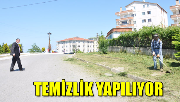 ALAPLI BELEDİYESİ TEMİZLİK YAPIYOR