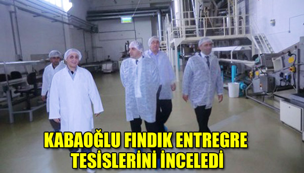KABAOĞLU FINDIK ENTREGRE TESİSLERİNİ İNCELEDİ
