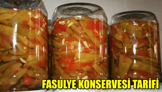 TAZE FASULYE KONSERVESİ