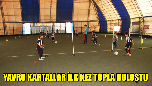 YAVRU KARTALLAR İLK KEZ TOPLA BULUŞTU